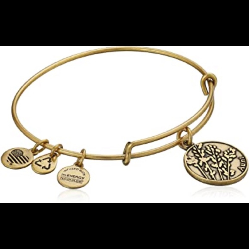 ALEX & ANI BANGLE GOLD BRACELET AUNT GOLD JEWLERY